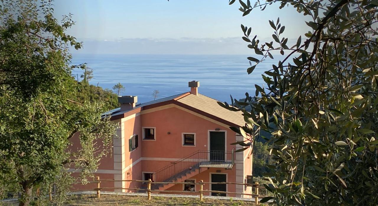 Agriturismo Missanega モンテロッソ・アル・マーレ エクステリア 写真